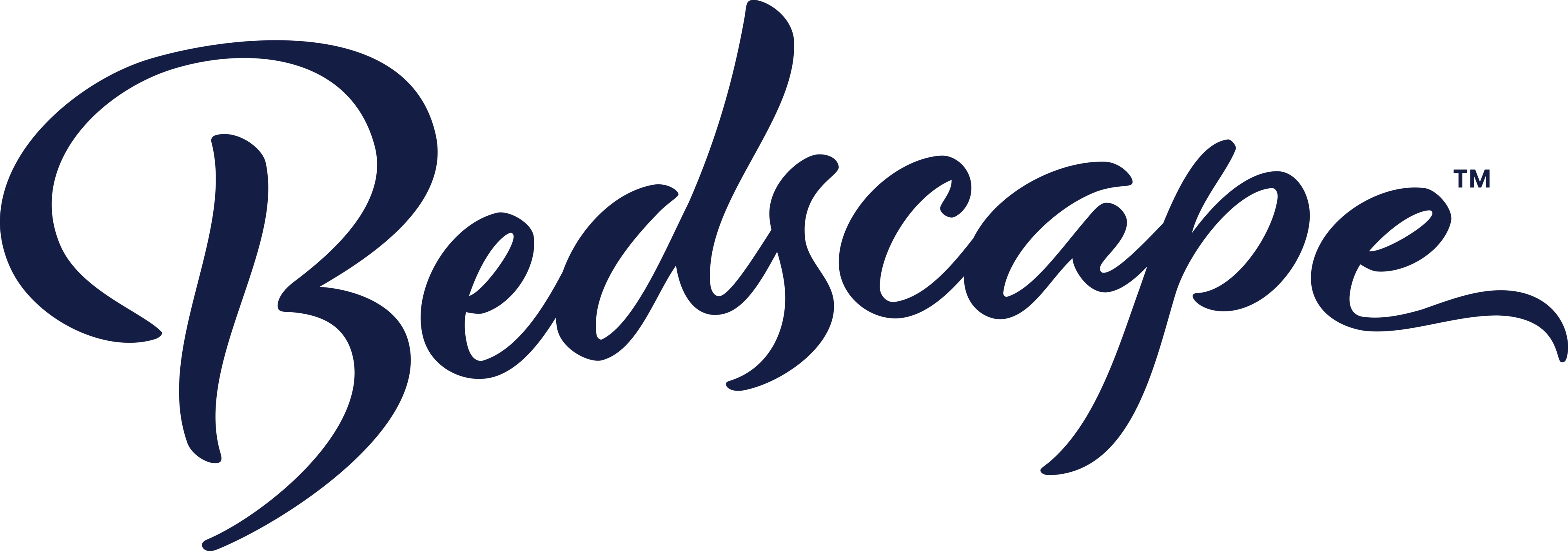 Bedscape